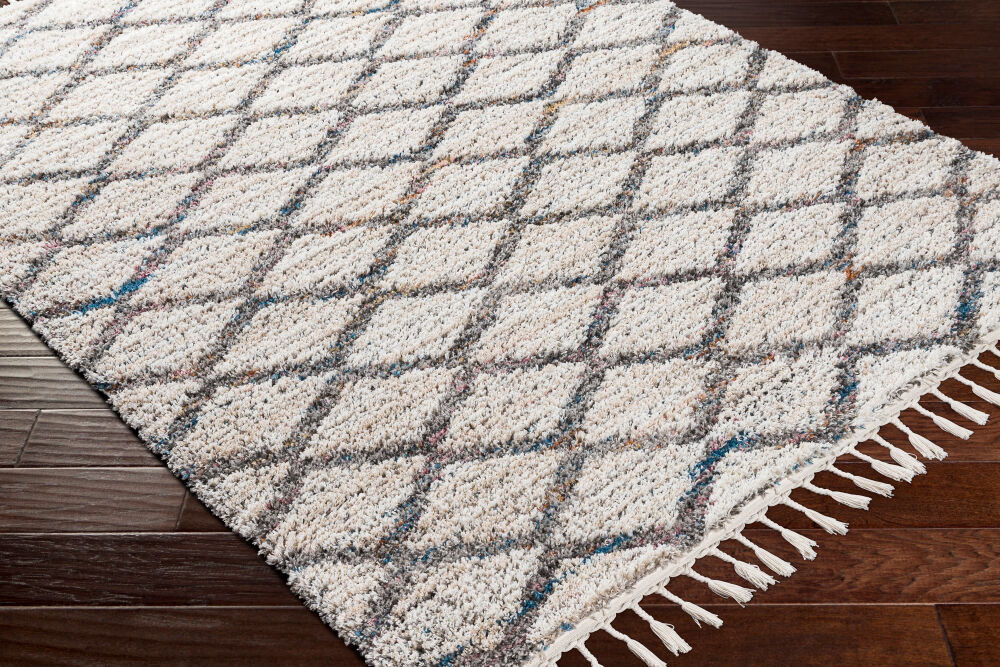 Lyon Machine Woven Rug