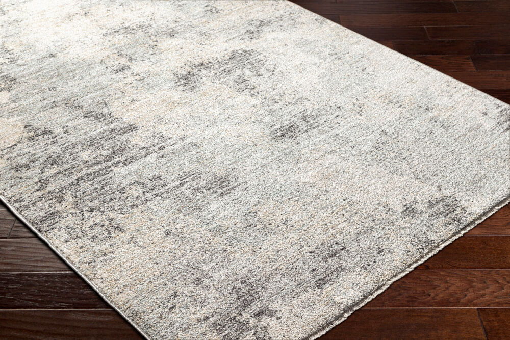 Rojin Machine Woven Rug
