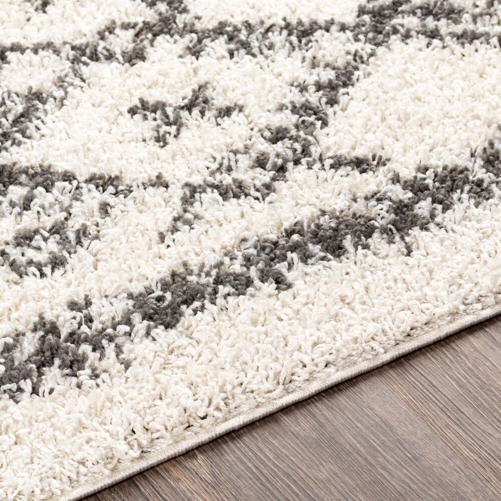 Taza Shag Machine Woven Rug