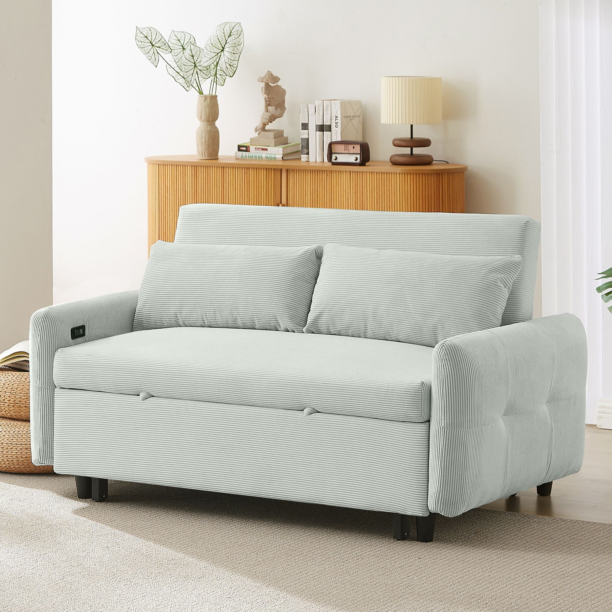Pull-Out 2 Seat Modern Sleeper Sofa With 2 Throw Pillows And USB Ports