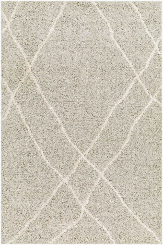 Maryland Shag Machine Woven Rug