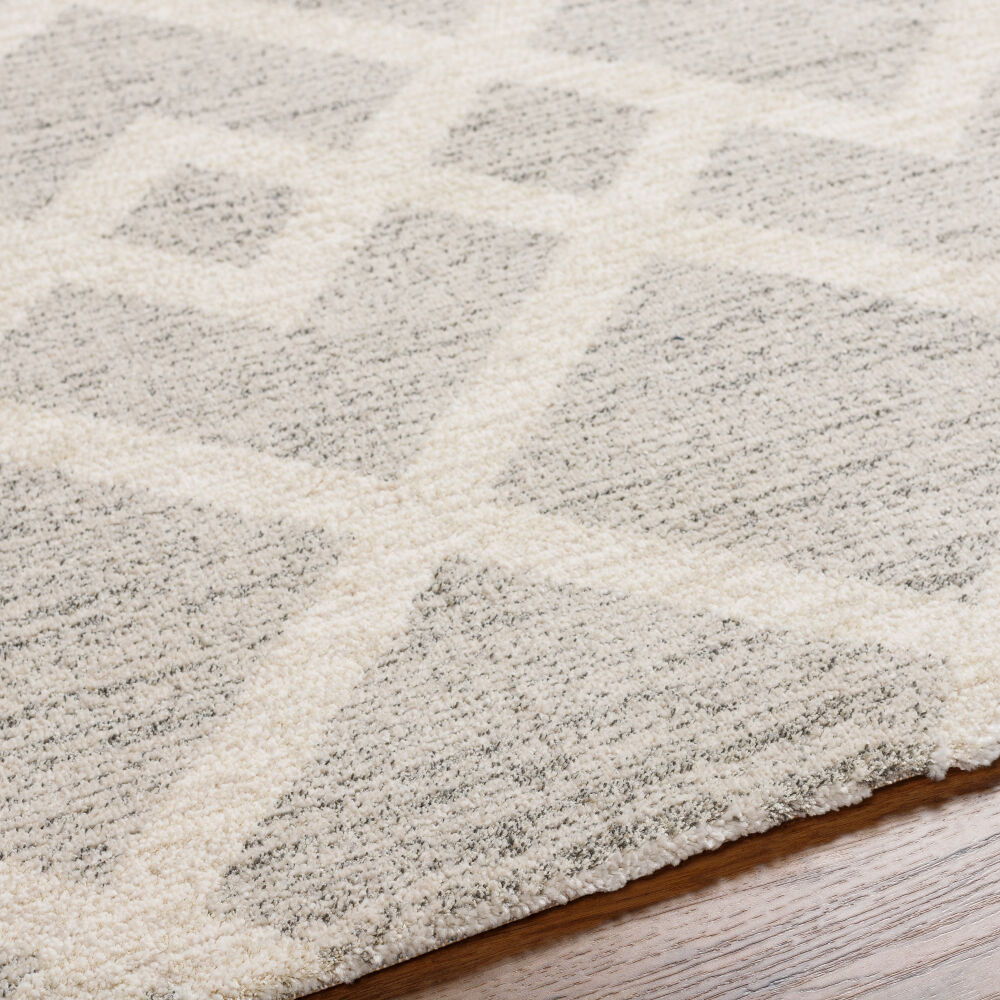 Gavic Machine Woven Rug