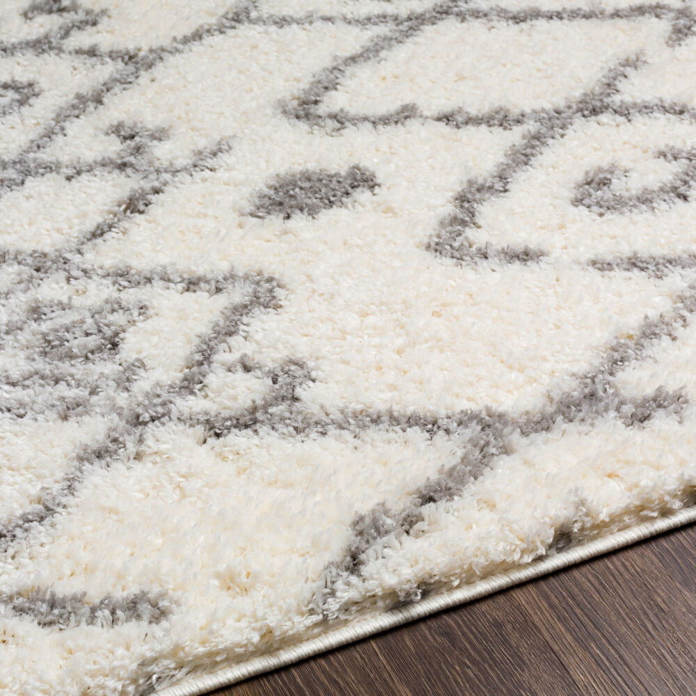 Aliyah Shag Machine Woven Rug