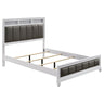 Barzini - Upholstered Panel Bed