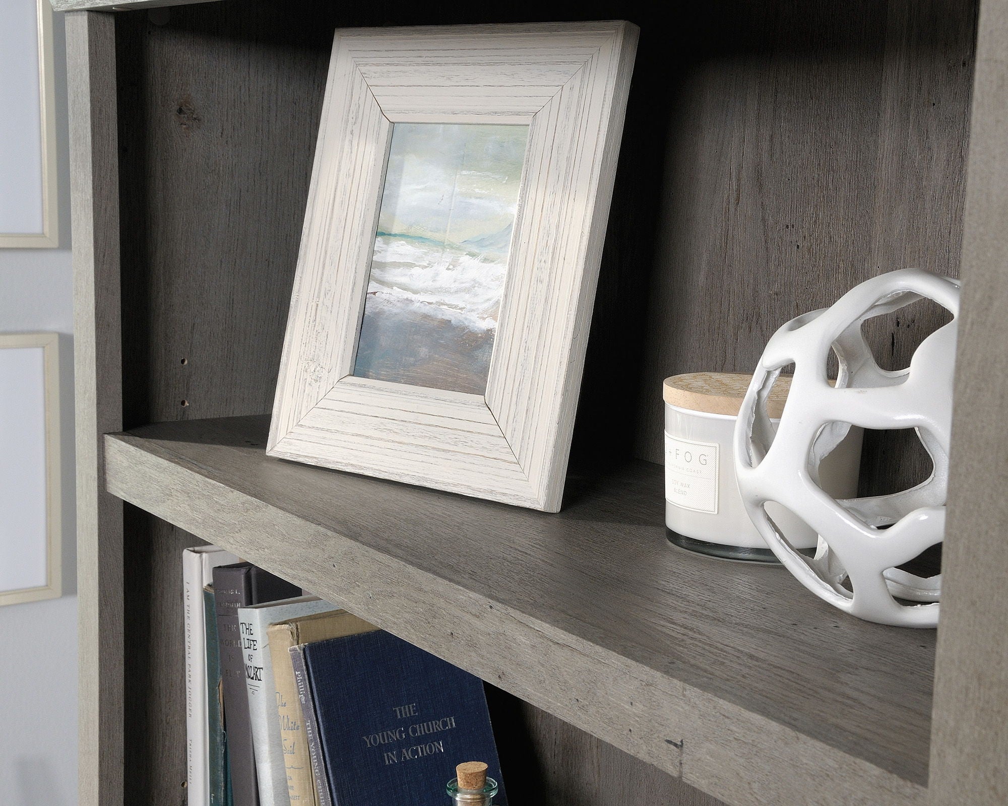 Bookcase With Doors in Mystic Oak