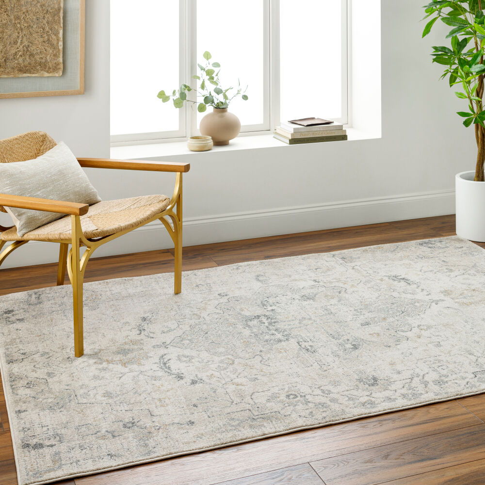 Alpharetta Machine Woven Rug