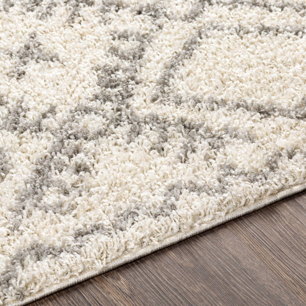 Taza Shag Machine Woven Rug