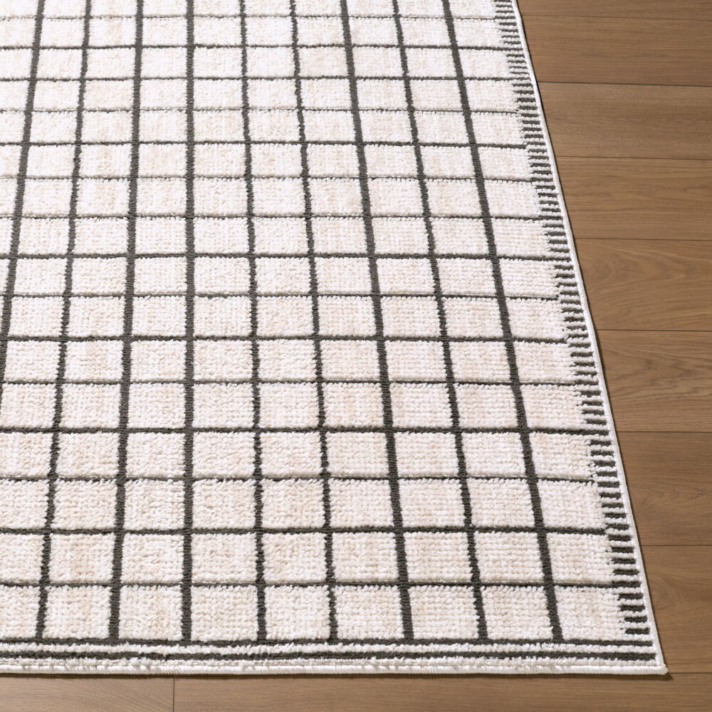 Odeon Machine Woven Rug