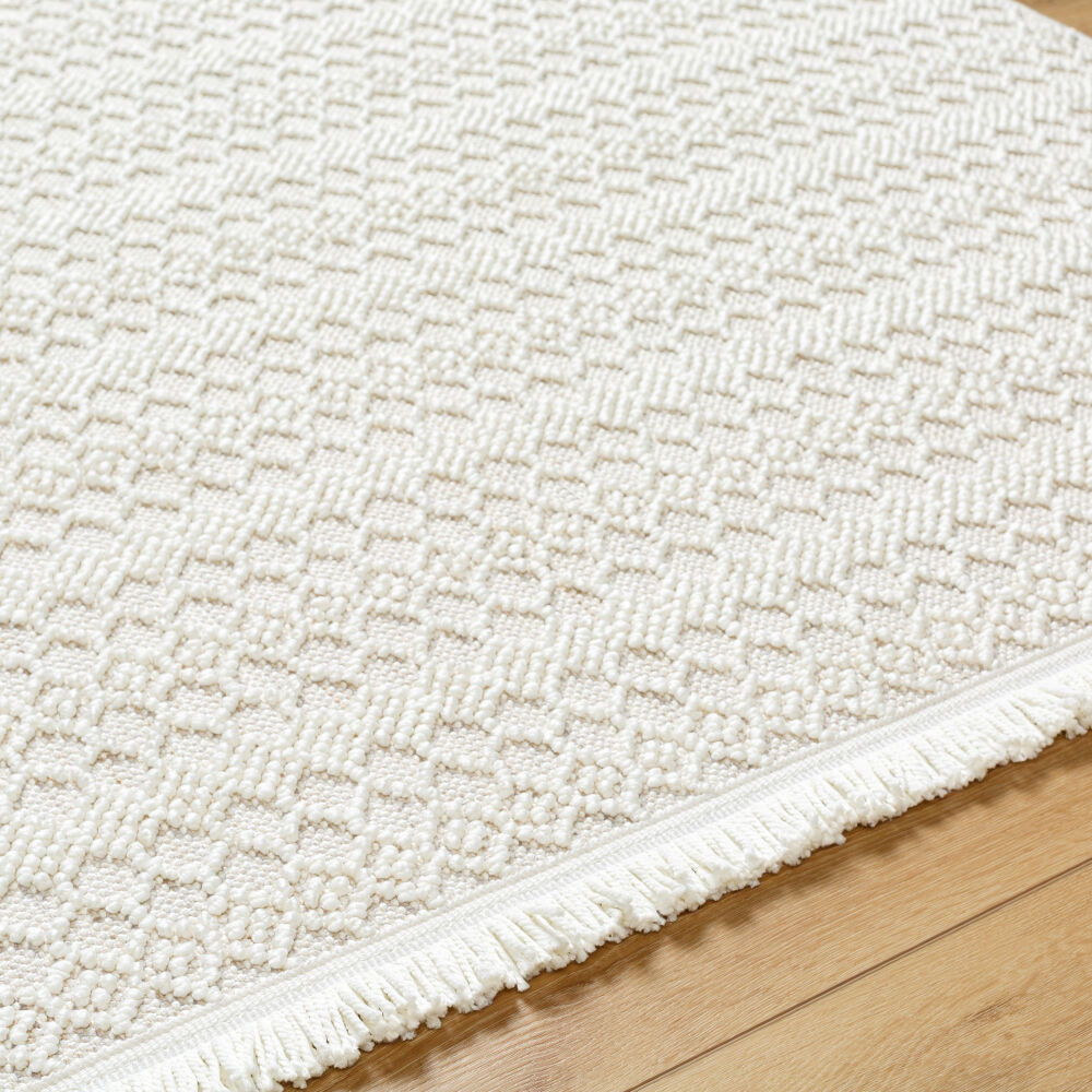 New Delhi Machine Woven Rug