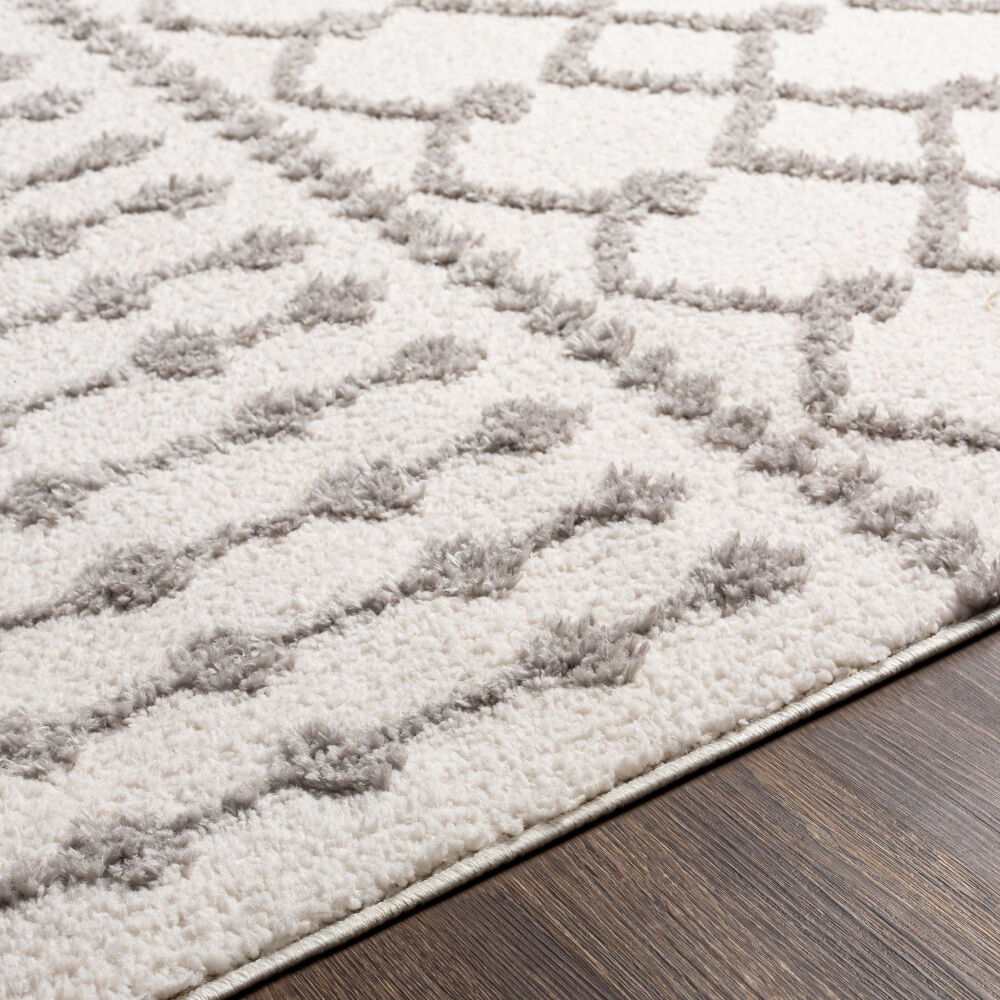 Alhambra Machine Woven Rug