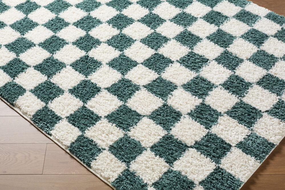 Czechia Machine Woven Rug