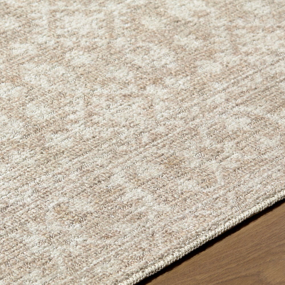 Aram Machine Woven Rug