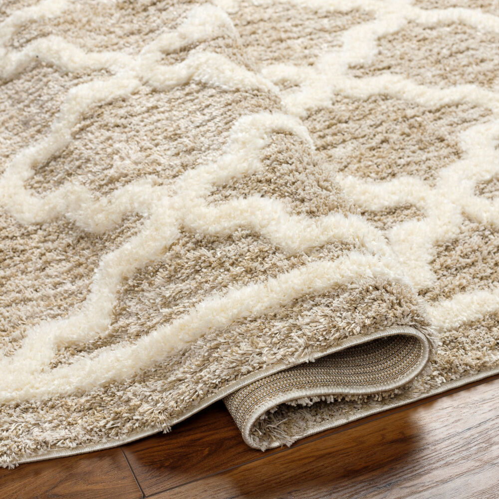 Florida Machine Woven Rug