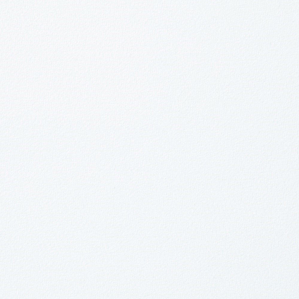 Fallon - Side Chair Set of 2) - White Velvet & Mirrored Gold