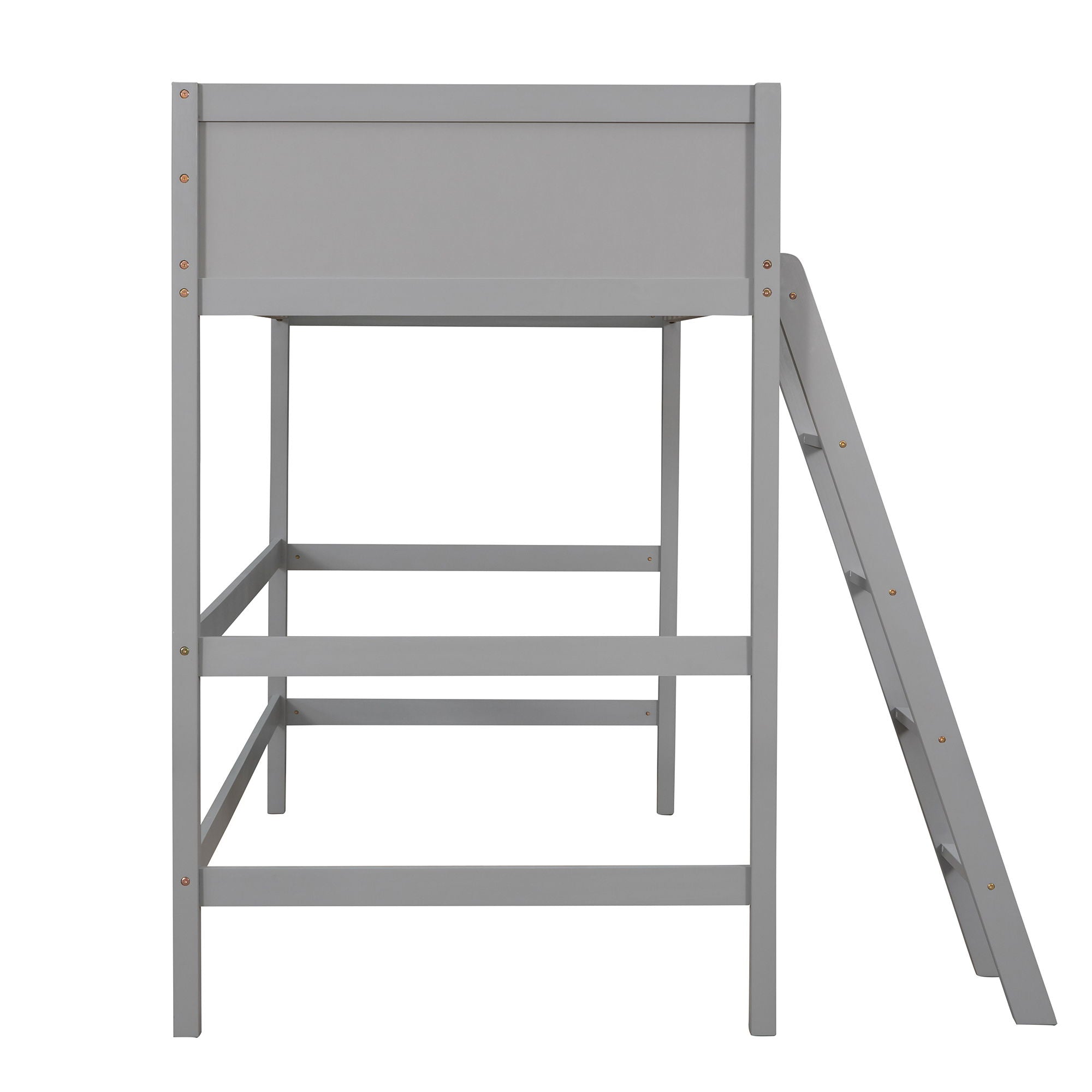 Loft Bed With Ladder