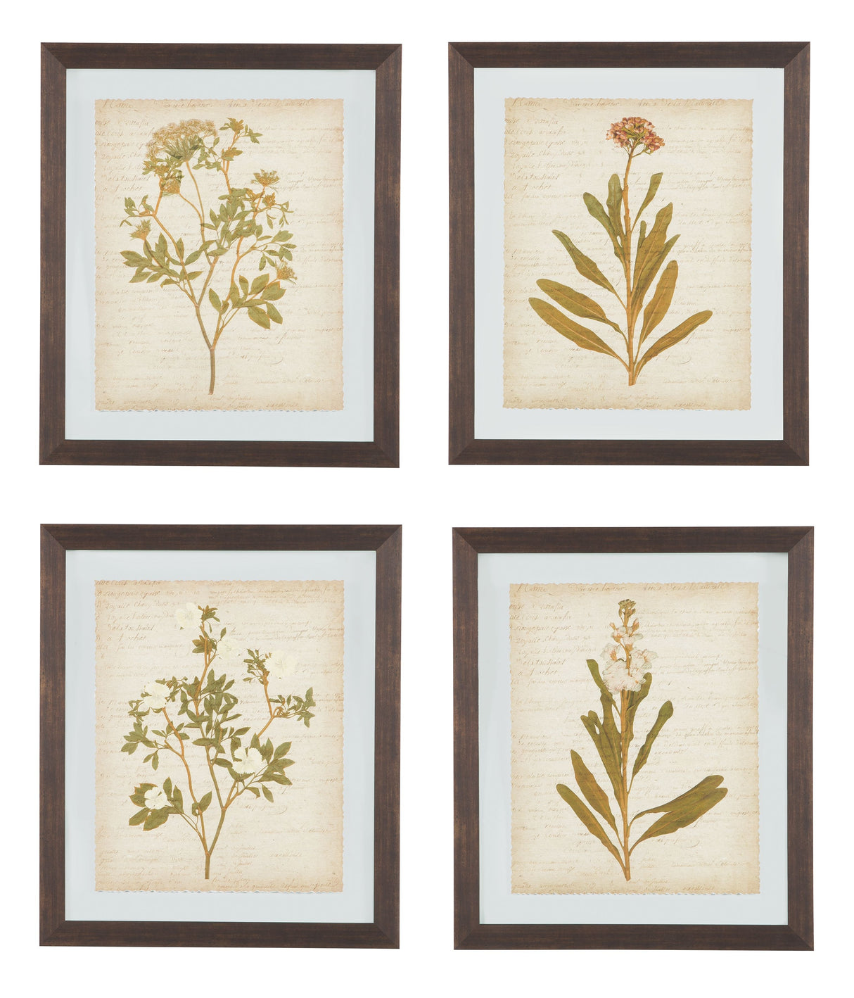 Dyani - Brown - Wall Art Set (Set of 4)