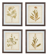 Dyani - Brown - Wall Art Set (Set of 4)