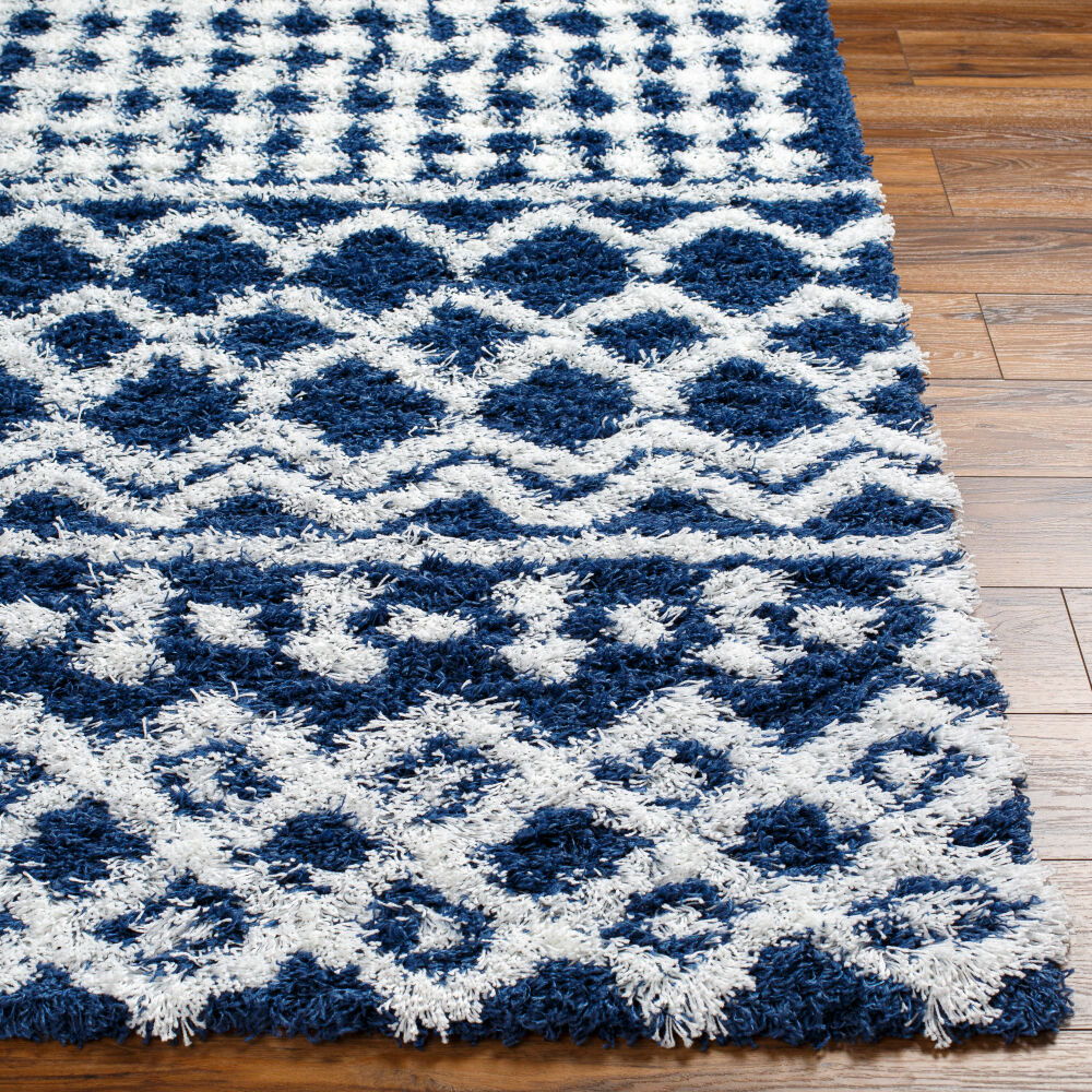 Urban Shag Machine Woven Rug