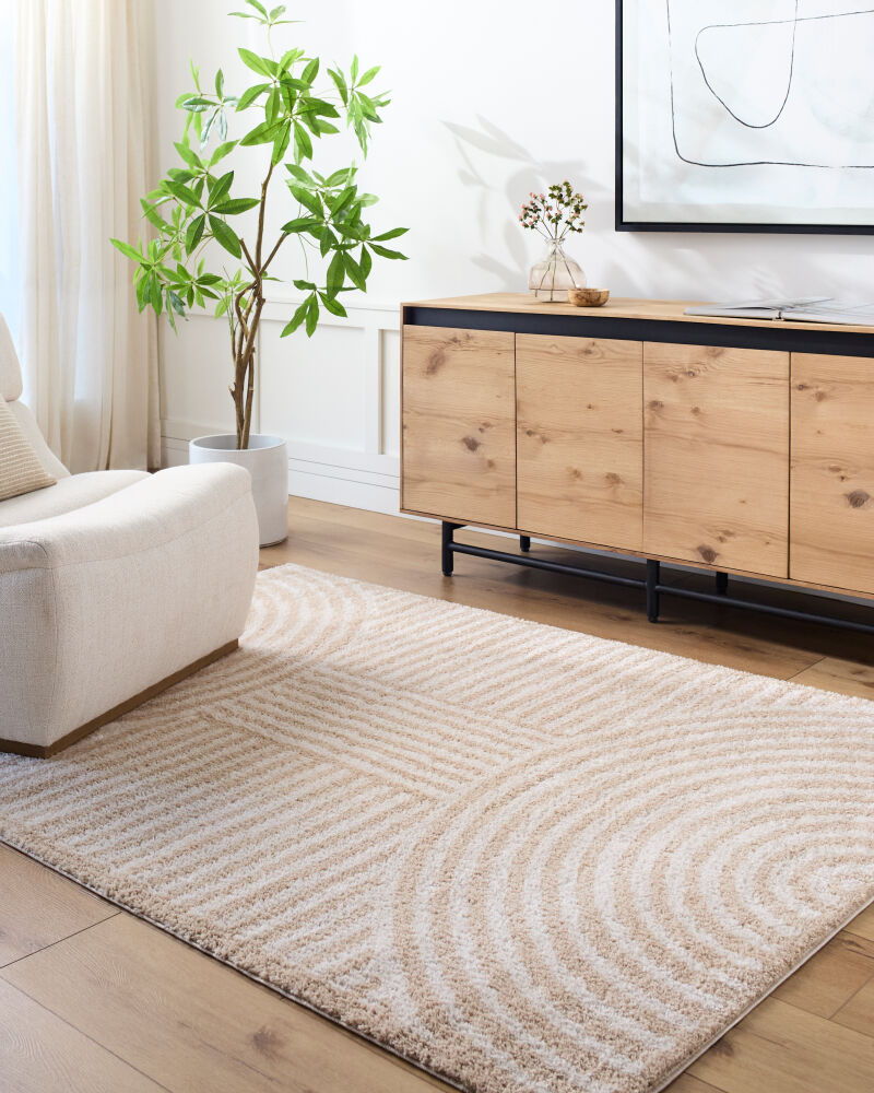 Fossay Shag Machine Woven Rug
