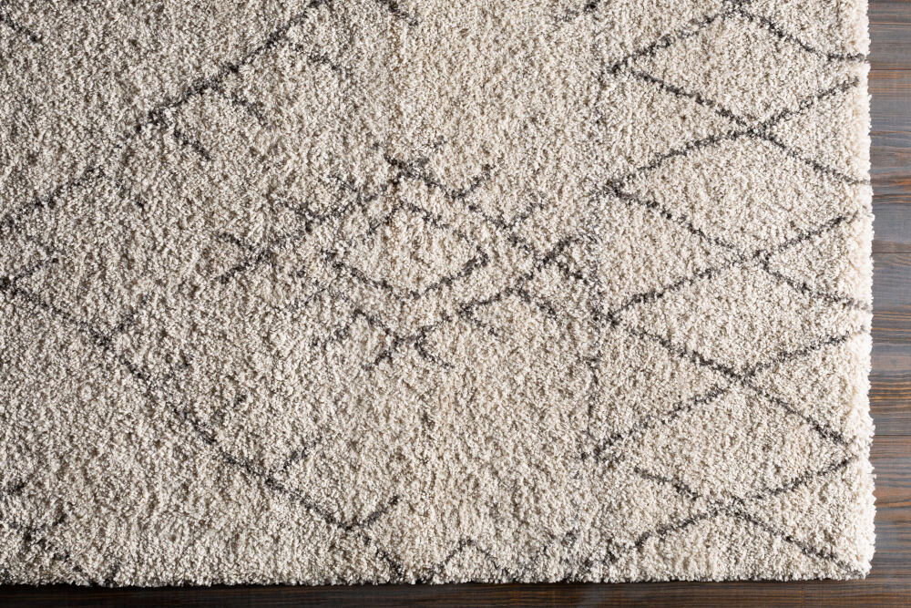 Wilder Machine Woven Rug
