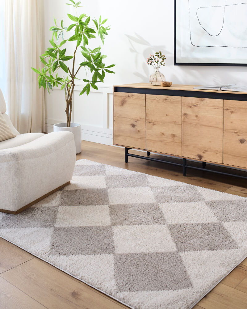 Fossay Shag Machine Woven Rug