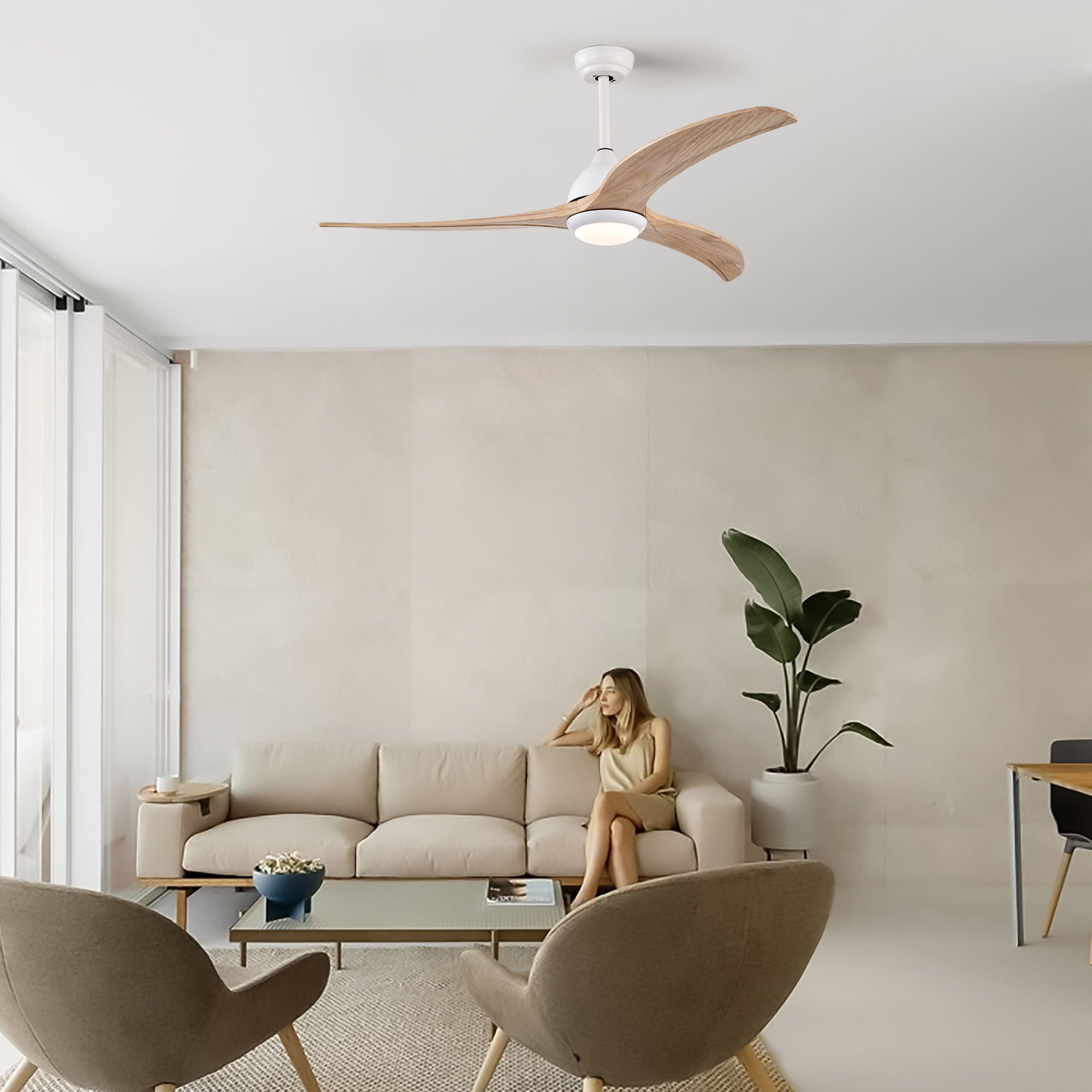 Indoor Outdoor Ceiling Fan With Light With Remote Control, Noiseless Reversible Motor, 6 Speed, 3 Color