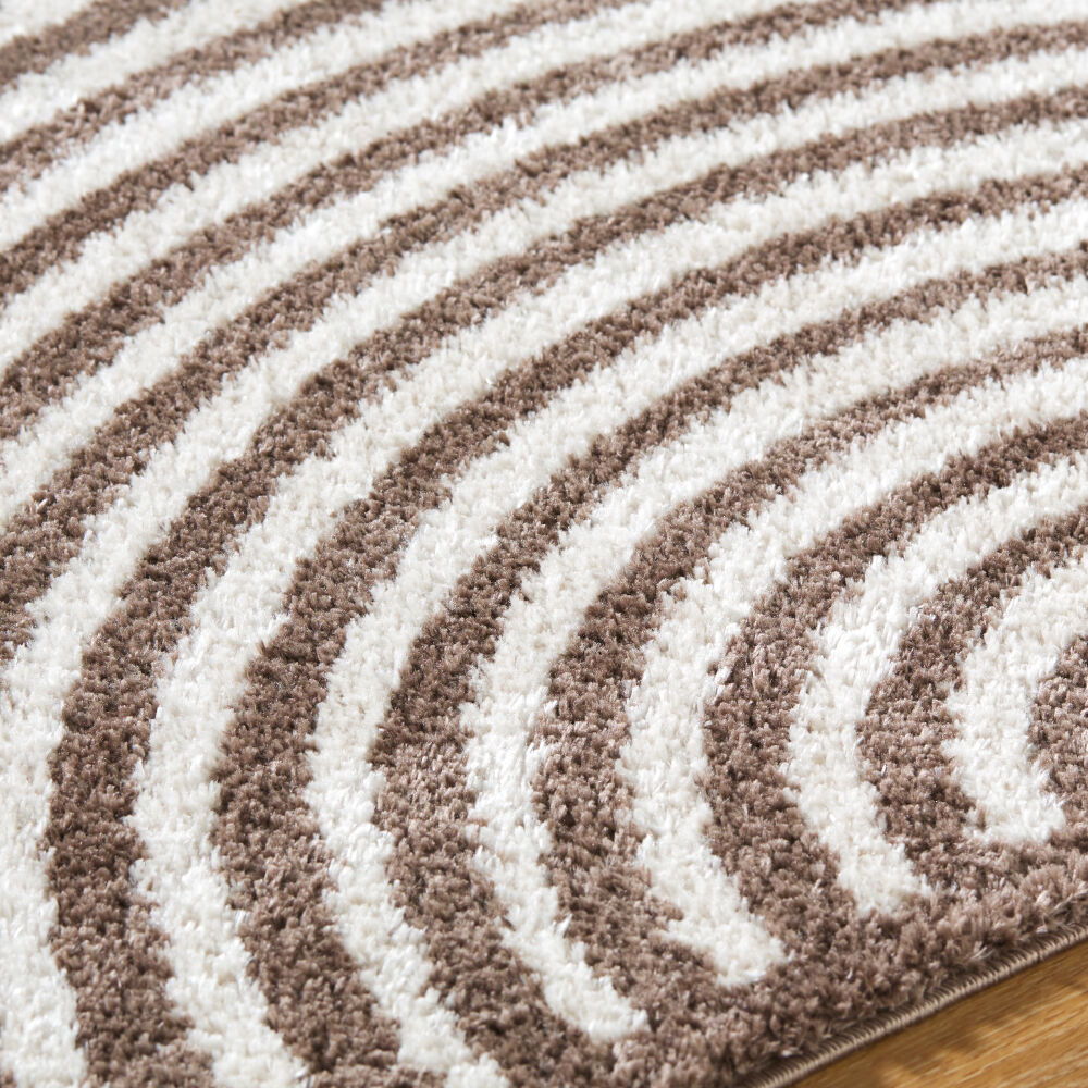 Fossay Shag Machine Woven Rug