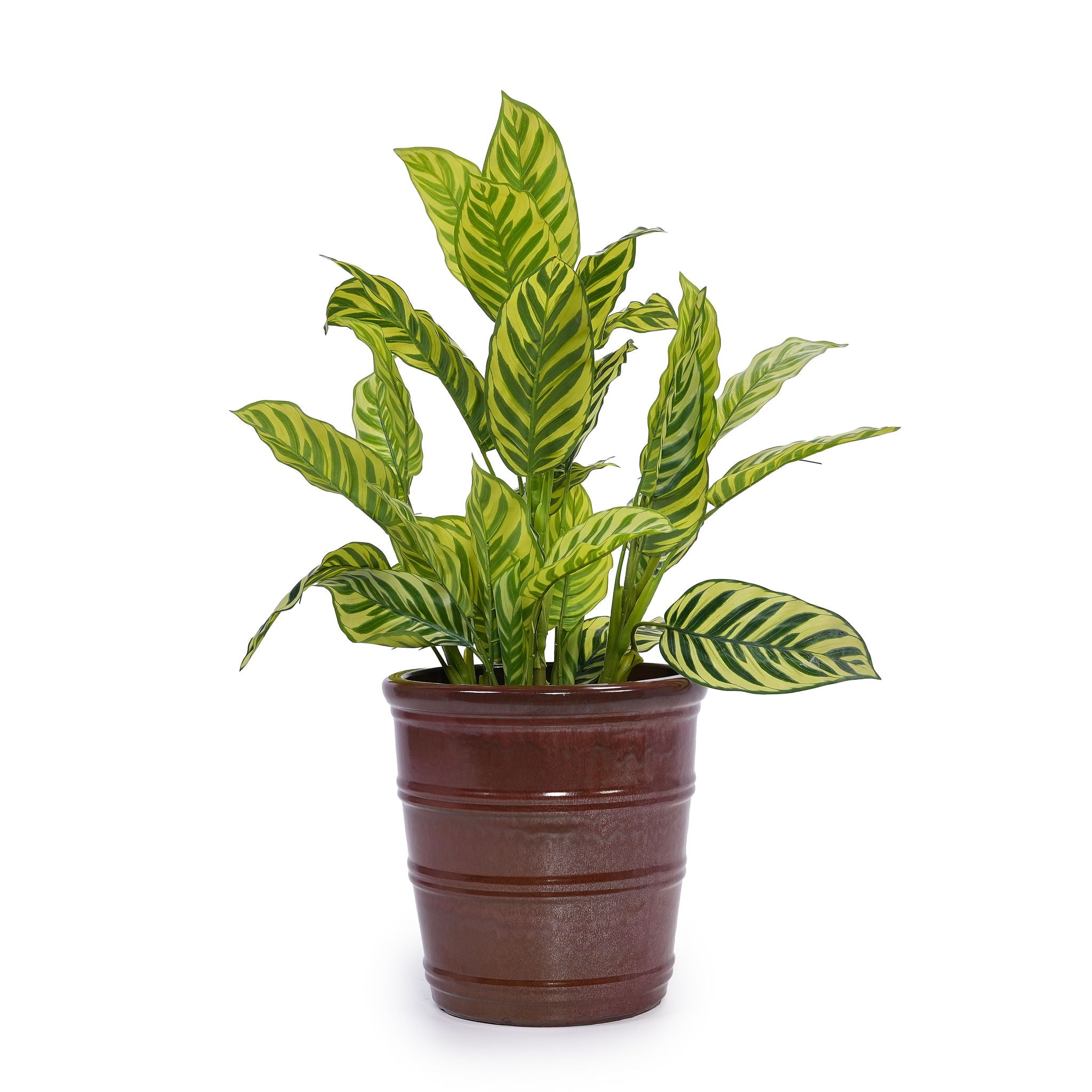 3 Pieces Flowerpot, Planter For Patio, Garden Or Windowsills