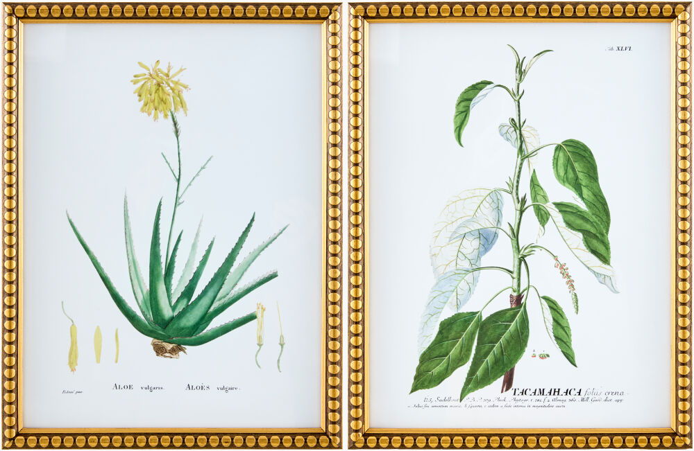Midsummer Framed Art (Set of 2)