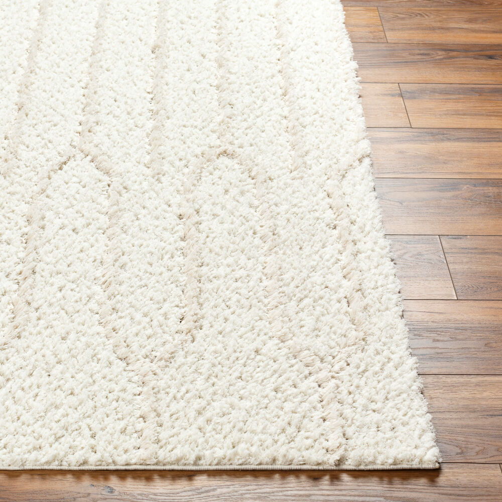 Maryland Shag Machine Woven Rug