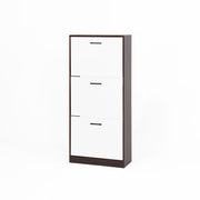 Modern Freestanding Shoe Storage Cabinet With 3 Flip Drawers