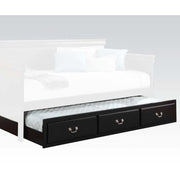 ACME Bailee - Trundle | Meri Furniture
