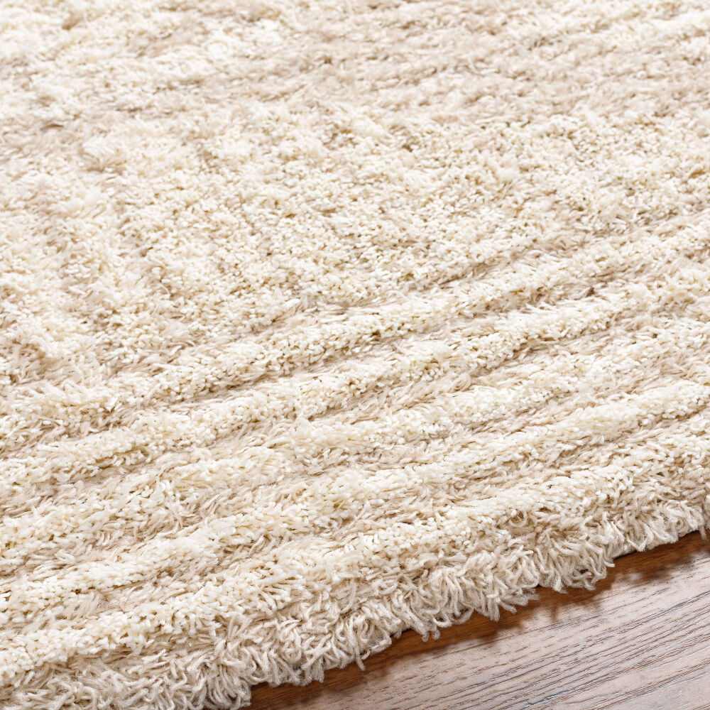Urban Shag Machine Woven Rug