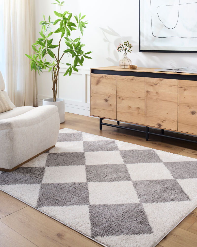 Fossay Shag Machine Woven Rug