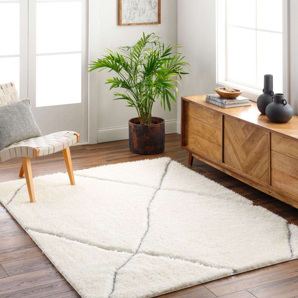 Bologna Machine Woven Rug