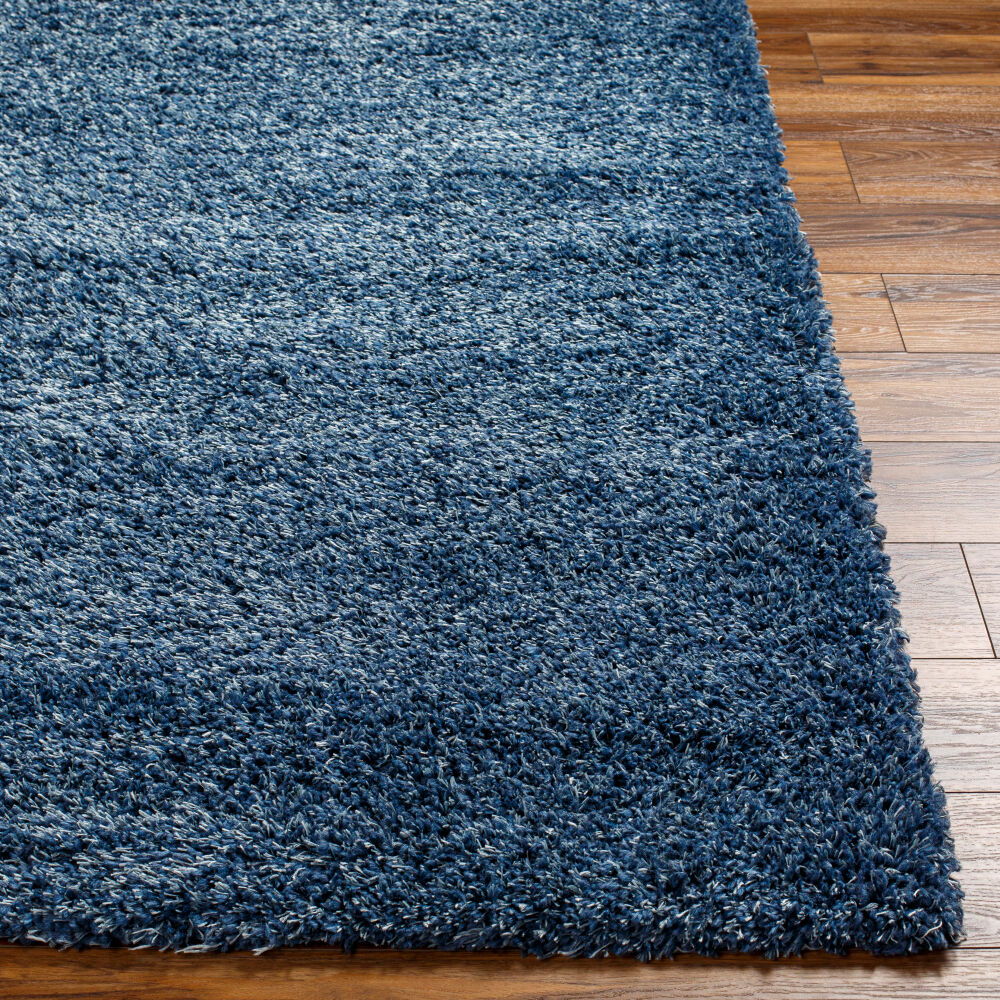 Bogota Shag Machine Woven Rug