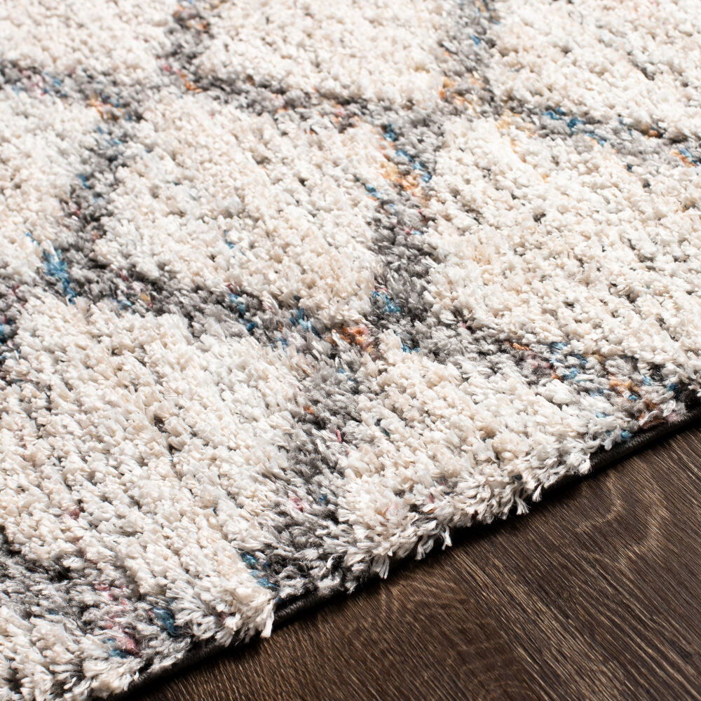 Lyon Machine Woven Rug