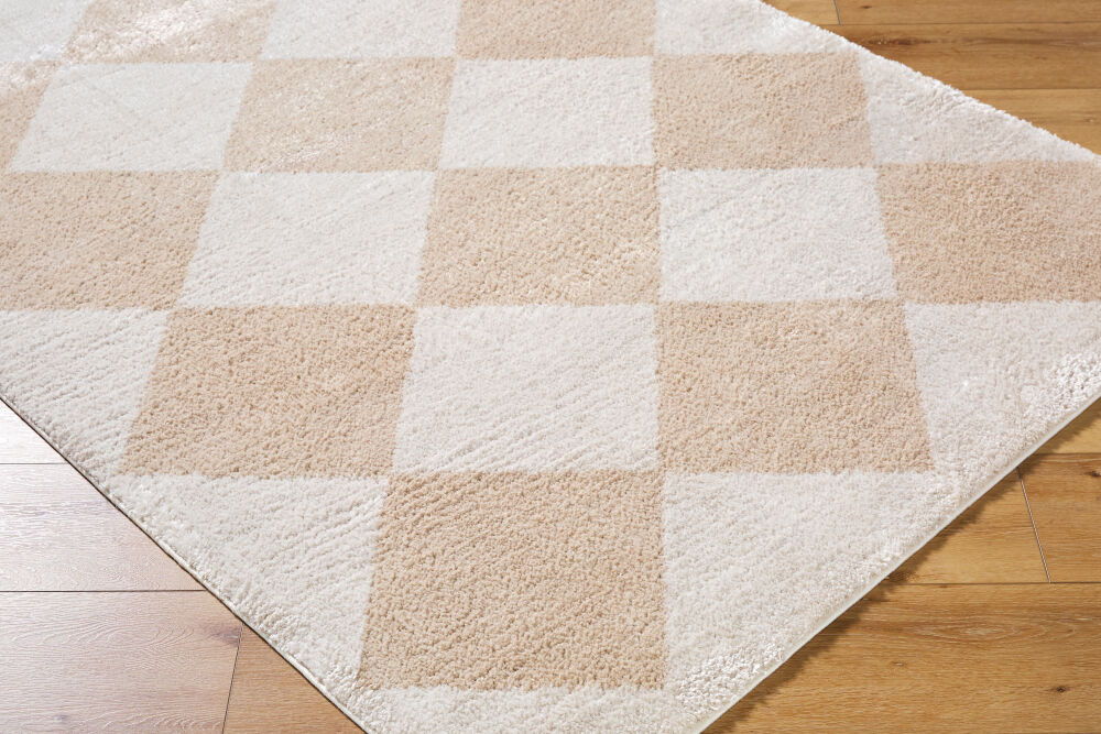 Fossay Shag Machine Woven Rug