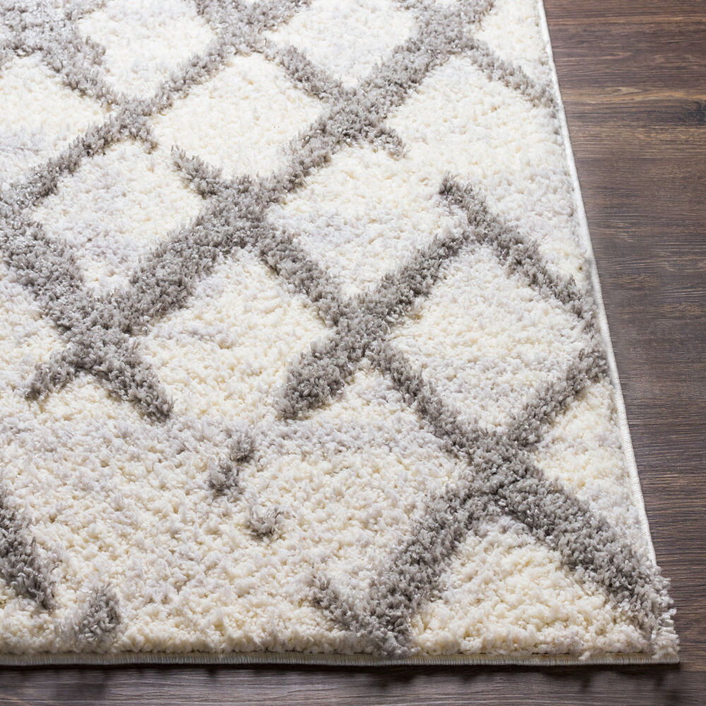 Everton Machine Woven Rug
