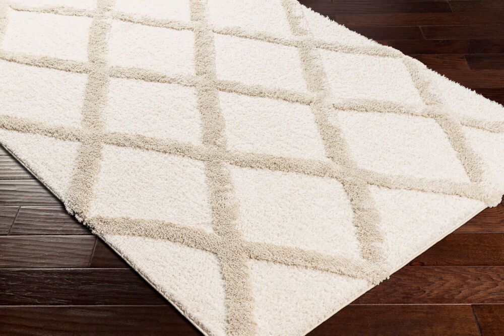 Hudson Shag Machine Woven Rug