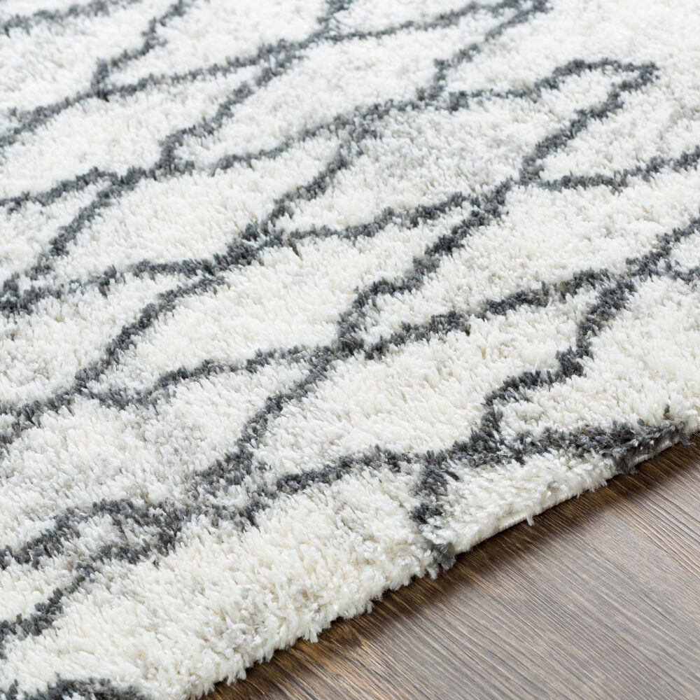 Aliyah Shag Machine Woven Rug