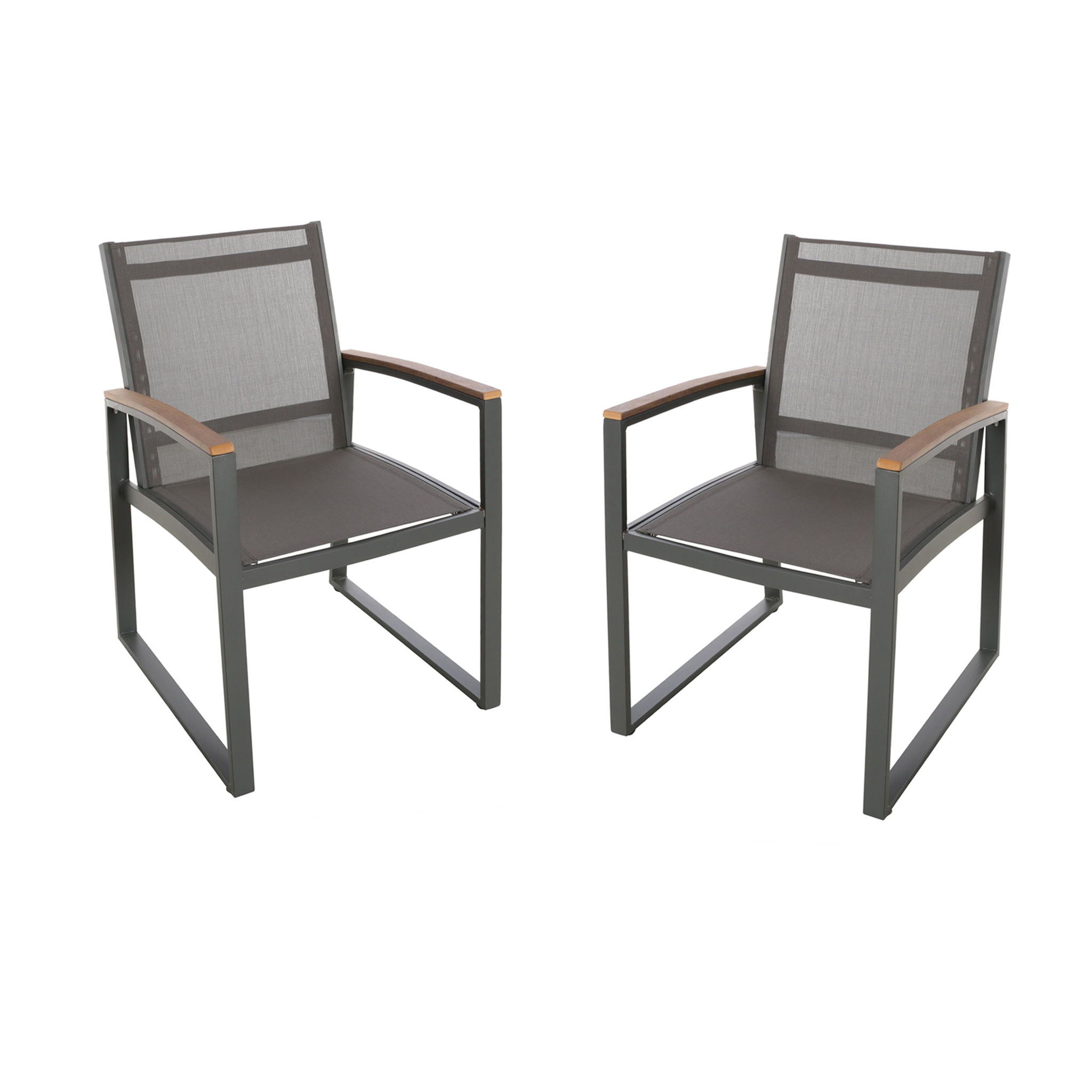 Aresha - Metal Outdoor Dining Armchair (Set of 2) - Gray