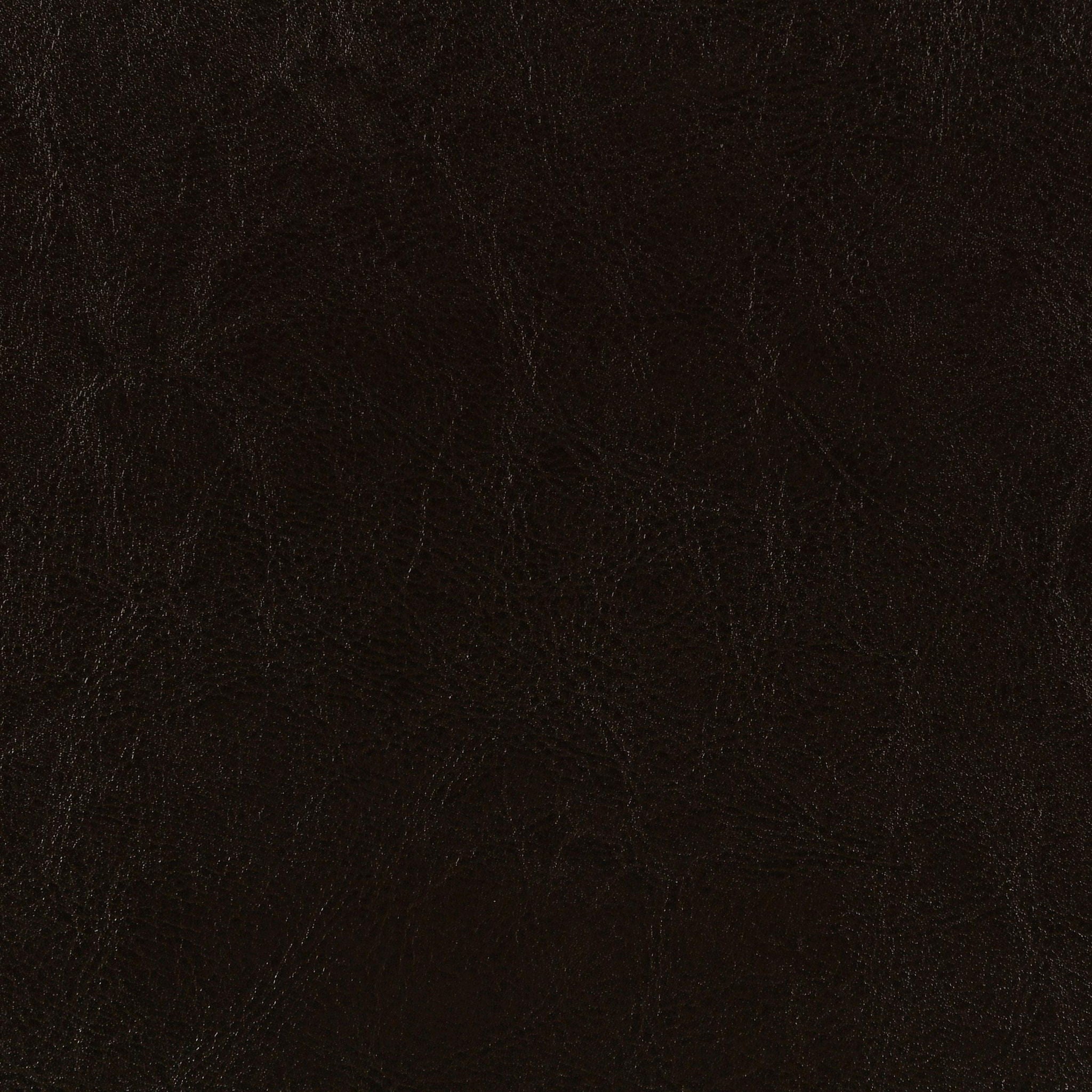 Dorian Faux Leather Upholstered Queen Panel Bed Brown