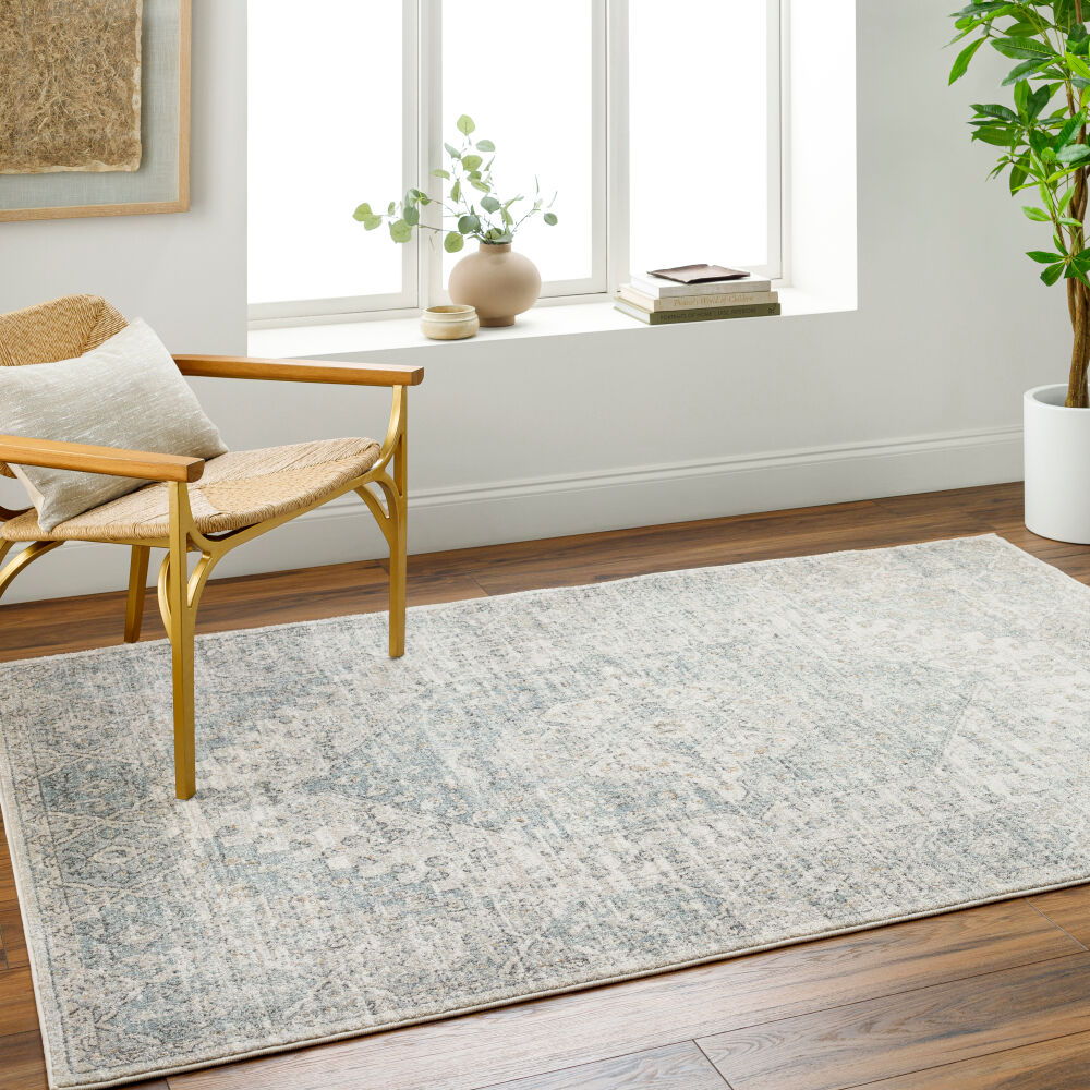 Alpharetta Machine Woven Rug