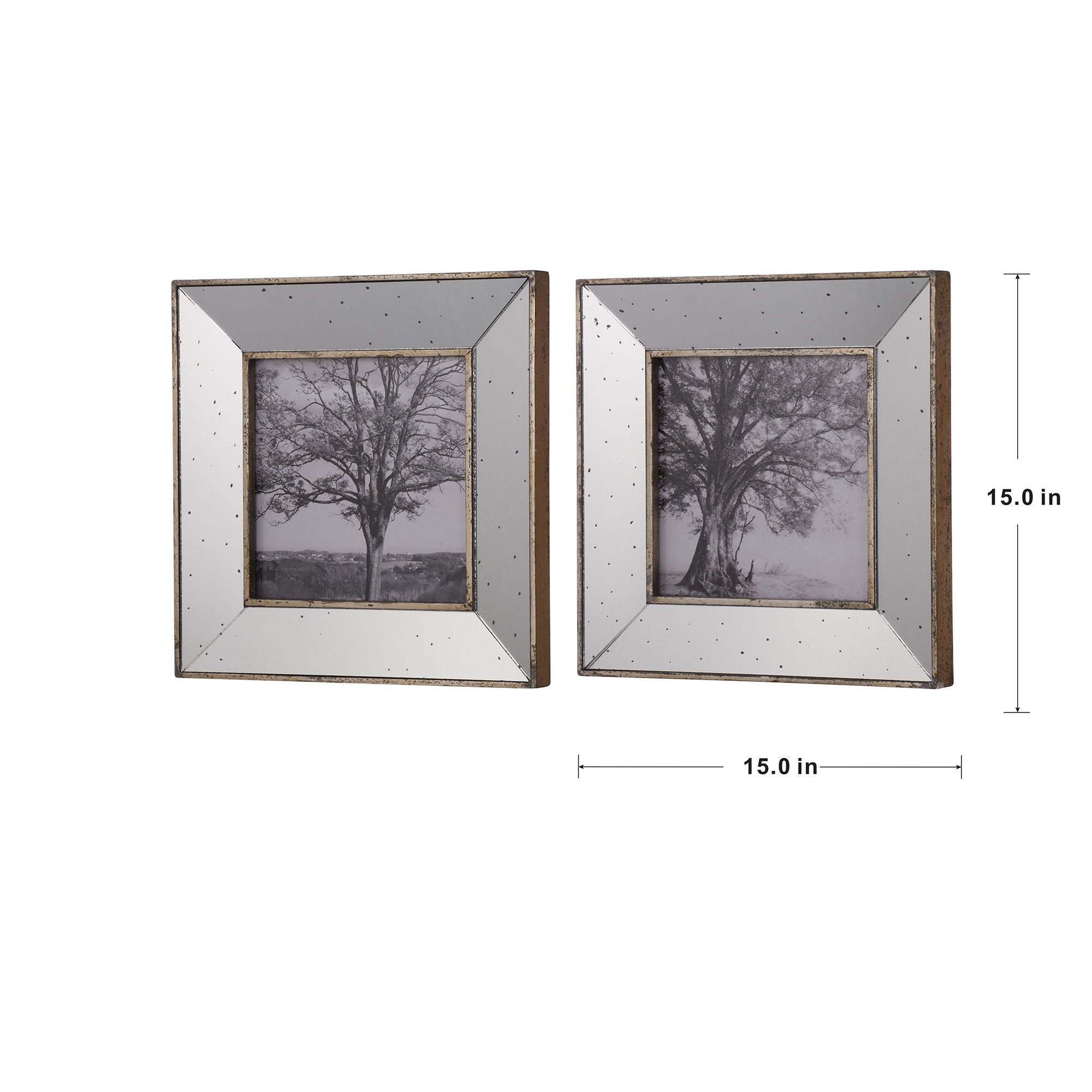Vintage Reflective Picture Frames (Set of 2) - Silver